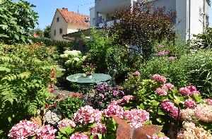 Karlsruhe: Offene Pforte lädt zu blühender Gartenerkundung